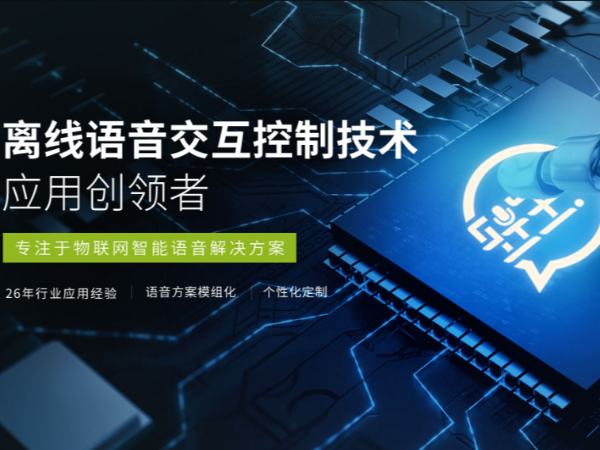 谁是离线语音技术的第一批吃螃蟹者？