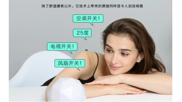 定制语音控制模板满足客户各种应用需求